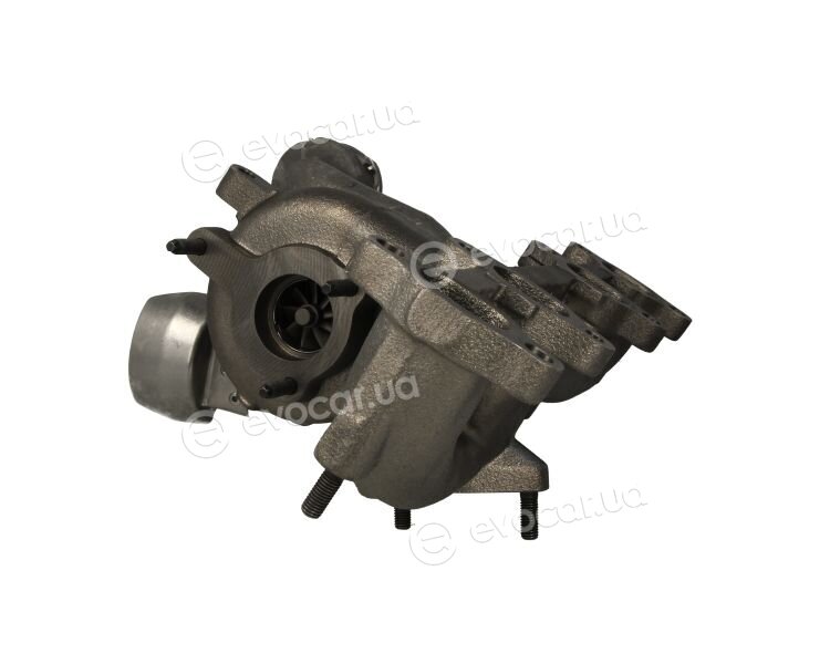 BorgWarner 54399880060