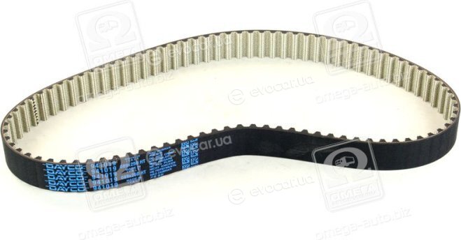 Dayco 941019