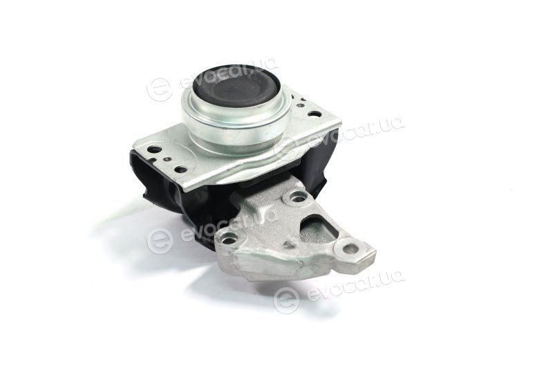 Sasic 2700075
