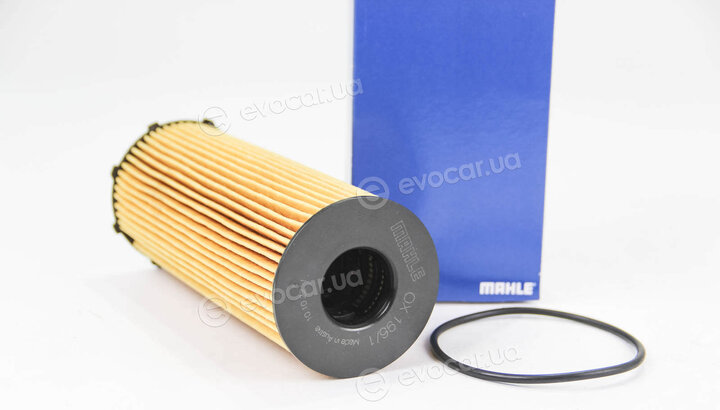 Mahle OX 196/1D1