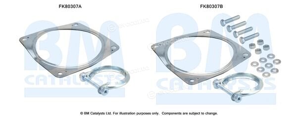 BM Catalysts FK80307