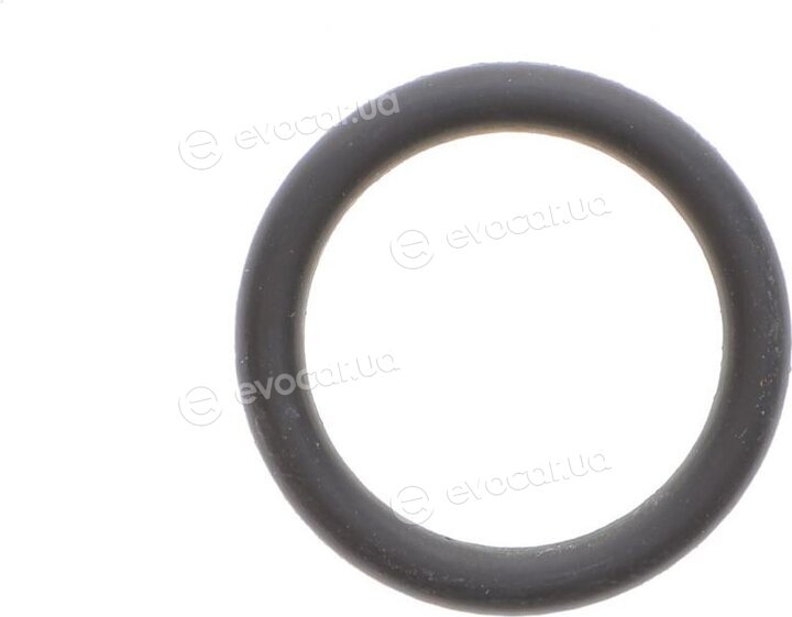 Elring 424.790