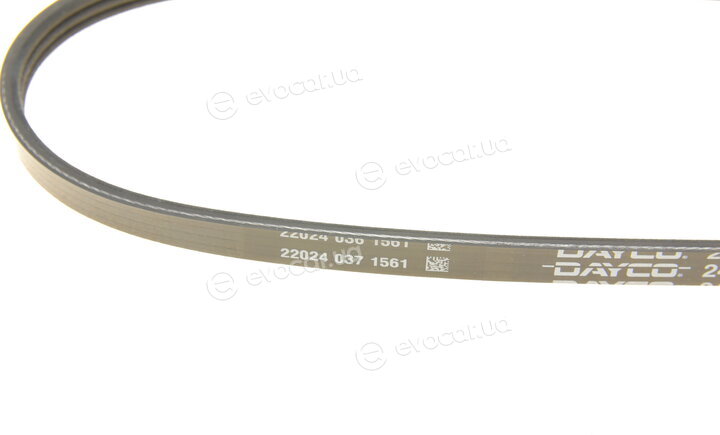 Dayco 3PK630