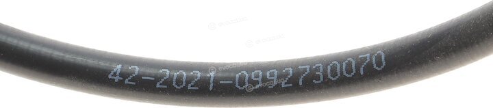 Solgy 219011