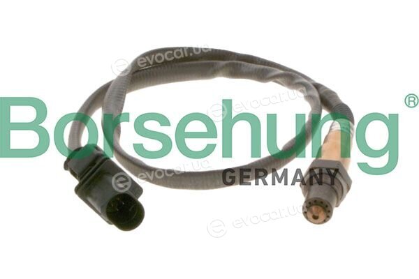 Borsehung B13180