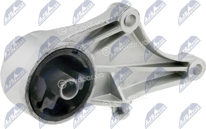 NTY ZPS-PL-013