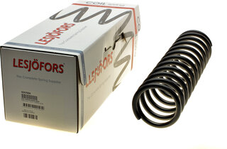 Lesjofors 4247004