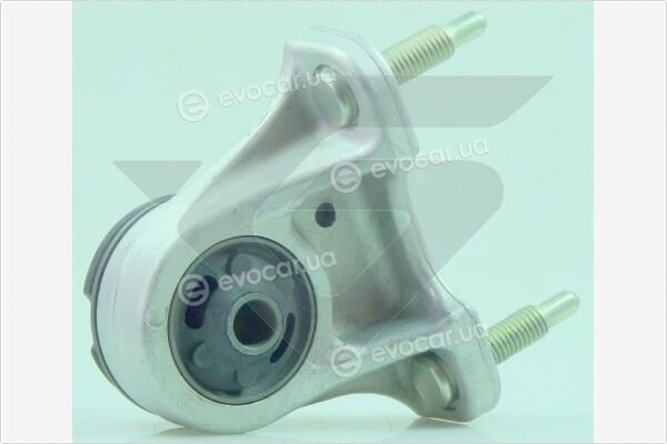 Hutchinson 590384