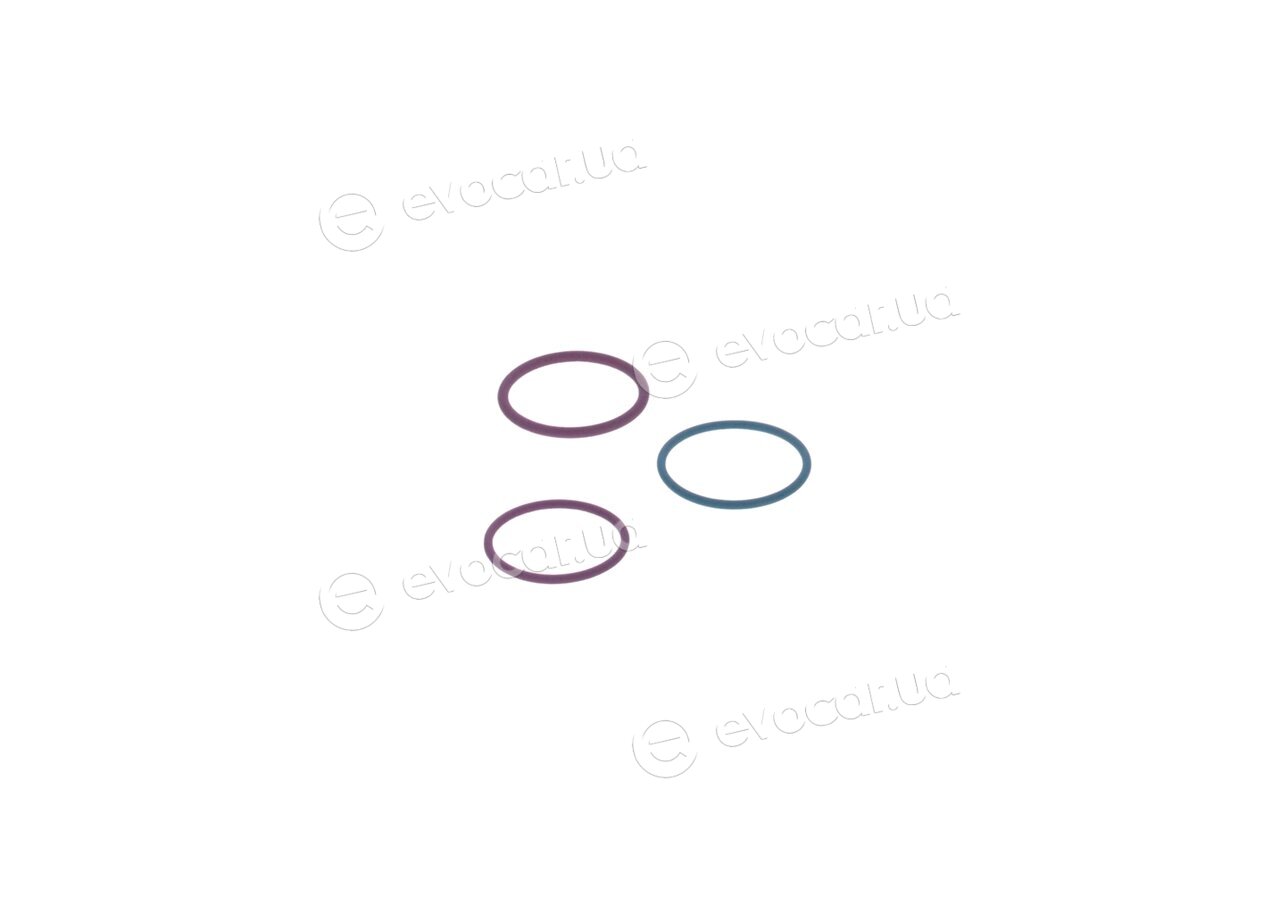 Bosch F 00V X99 998