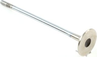 Gunes 4049
