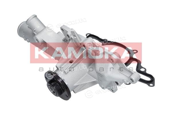 Kamoka T0199