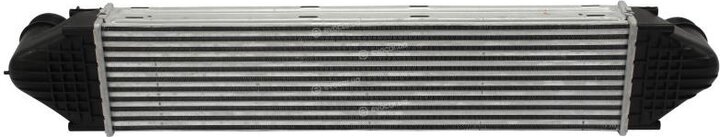 Starline A FDA 4481