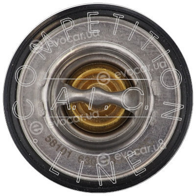 AIC 58101