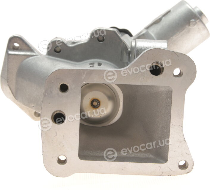 Wahler / BorgWarner 710975D
