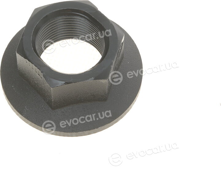 Solgy 216211