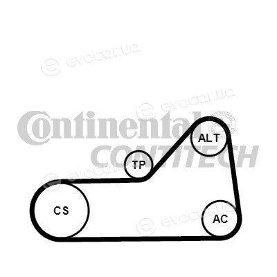 Continental 6PK1153K1