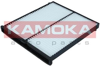 Kamoka F418601