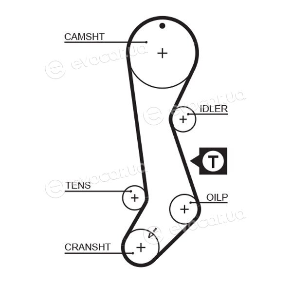 Gates K015358XS