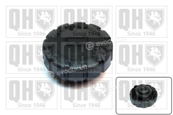 Quinton Hazell FC523