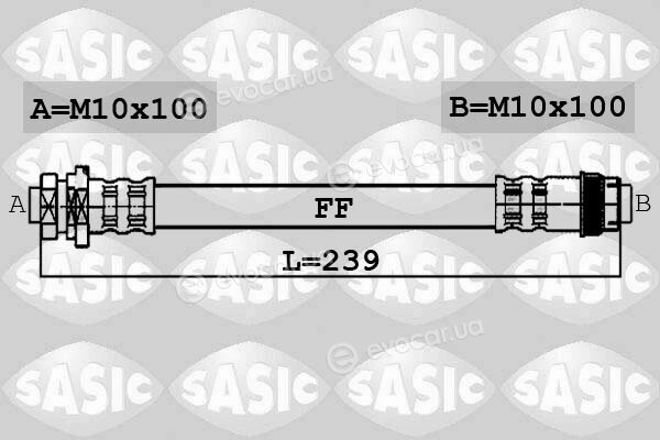 Sasic 6600033