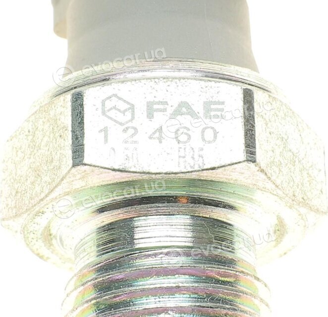 FAE 12460