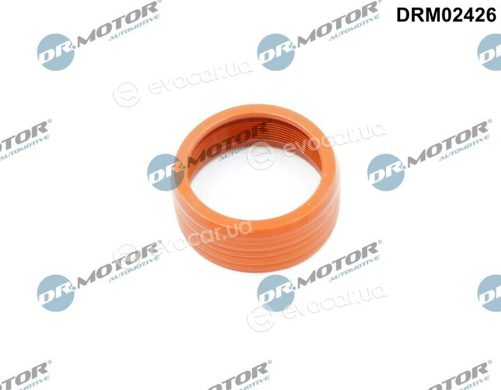 Dr. Motor DRM02426