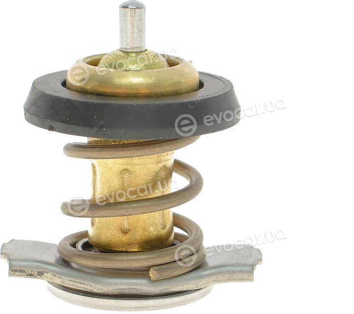 Mahle TX 266 79D