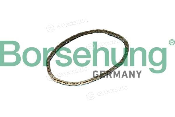 Borsehung B12768