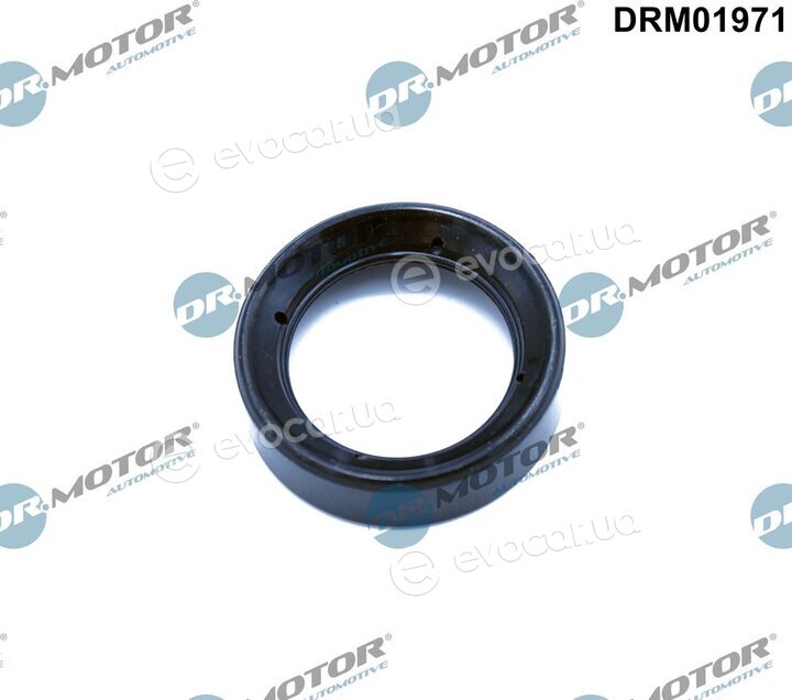 Dr. Motor DRM01971