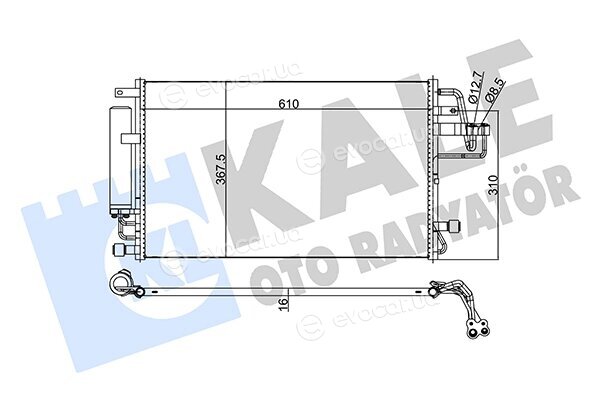 Kale 379900