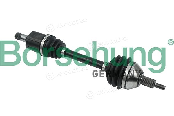 Borsehung B18417