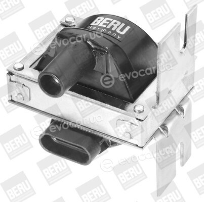 Beru ZS244