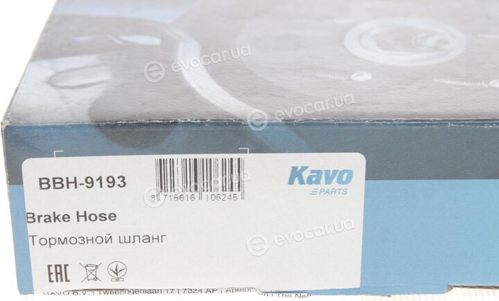 Kavo BBH-9193