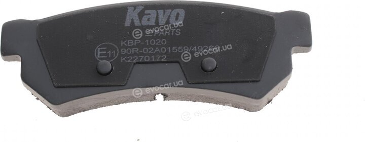 Kavo KBP-1020