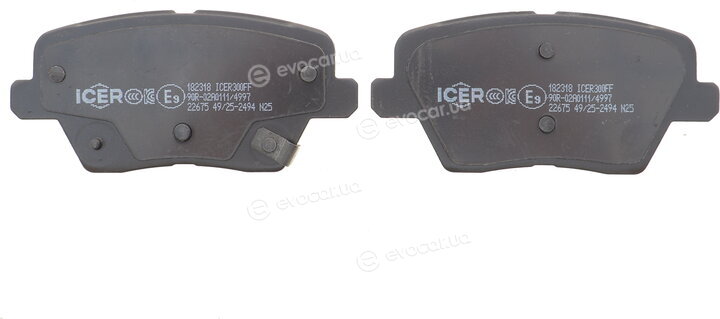Icer 182318