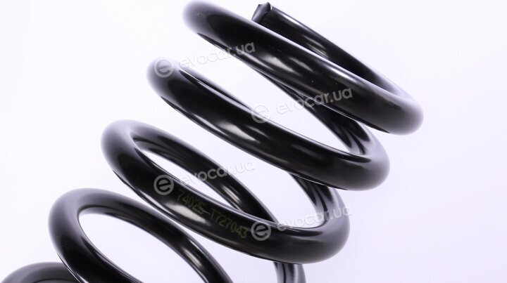 Lesjofors 4062024