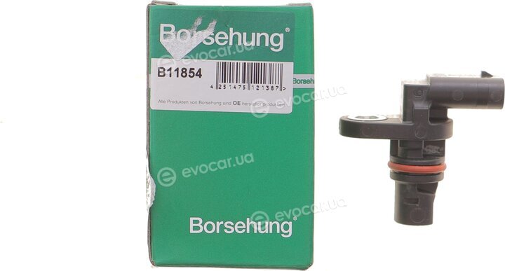Borsehung B11854