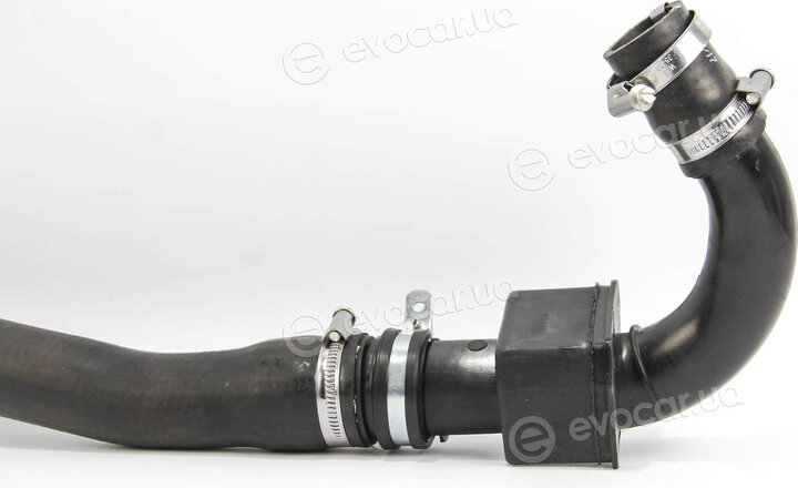 Rapro R12415