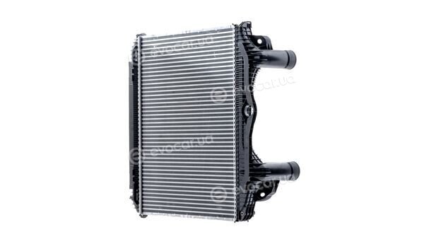 Mahle CI 123 000P