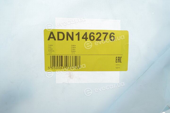 Blue Print ADN146276