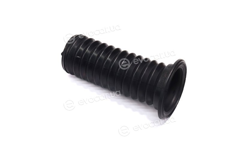 Renault / Nissan 543889524R