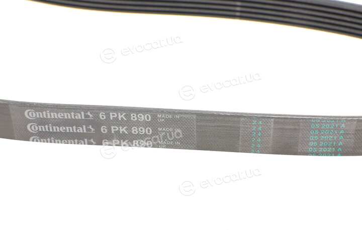 Continental 6PK890