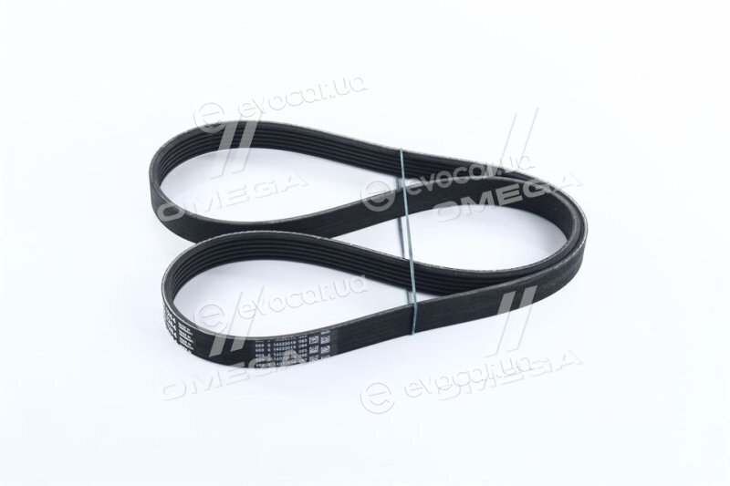 Continental 6PK1264