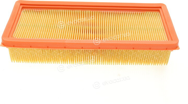 Mann C 2341