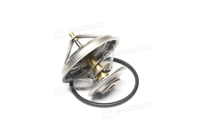 Wahler / BorgWarner 4105.79D