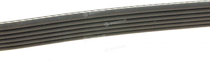 Dayco 6PK2160