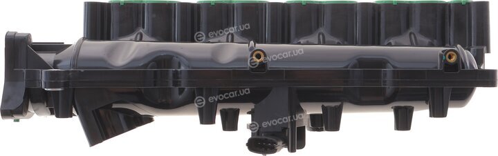 Solgy 114286