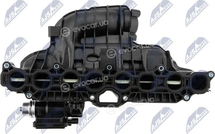 NTY BKS-CH-005