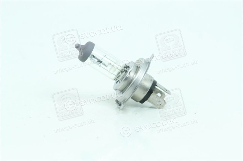 Bosch 1 987 302 041