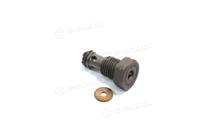 Bosch F 00N 202 279